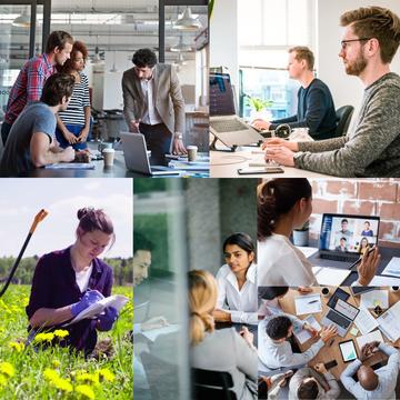 Jobs diverse