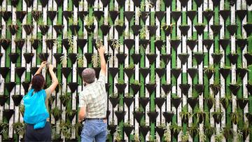 Two people putting plants on a green wall